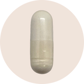 Akkermansia